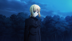 Fate/Zero